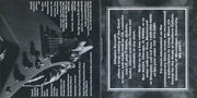 Gatefold 3: Tinsley Ellis – Storm Warning CD | Relix