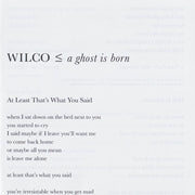 Gatefold 3: Wilco – A Ghost Is Born (Deluxe Edition) - CD | Relix