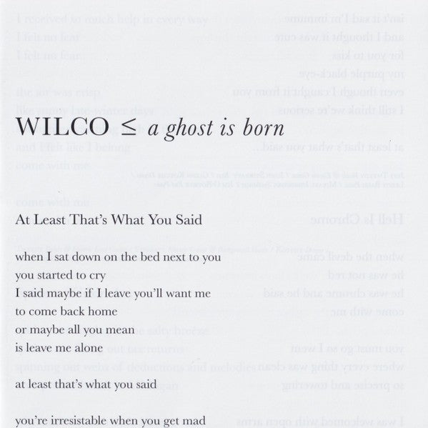 Gatefold 3: Wilco – A Ghost Is Born (Deluxe Edition) - CD | Relix