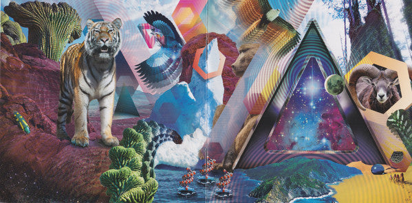 Gatefold: 311 – Universal Pulse CD | Relix
