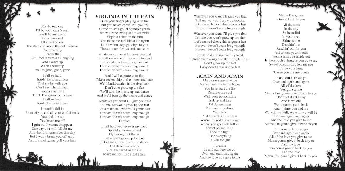 Gatefold 4: Dave Matthews Band – Come Tomorrow CD | Relix