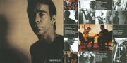 Gatefold 4: Dave Matthews – Some Devil Vinyl LP | Relix