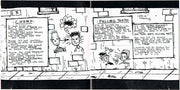 Gatefold 4: Green Day – Dookie CD | Relix