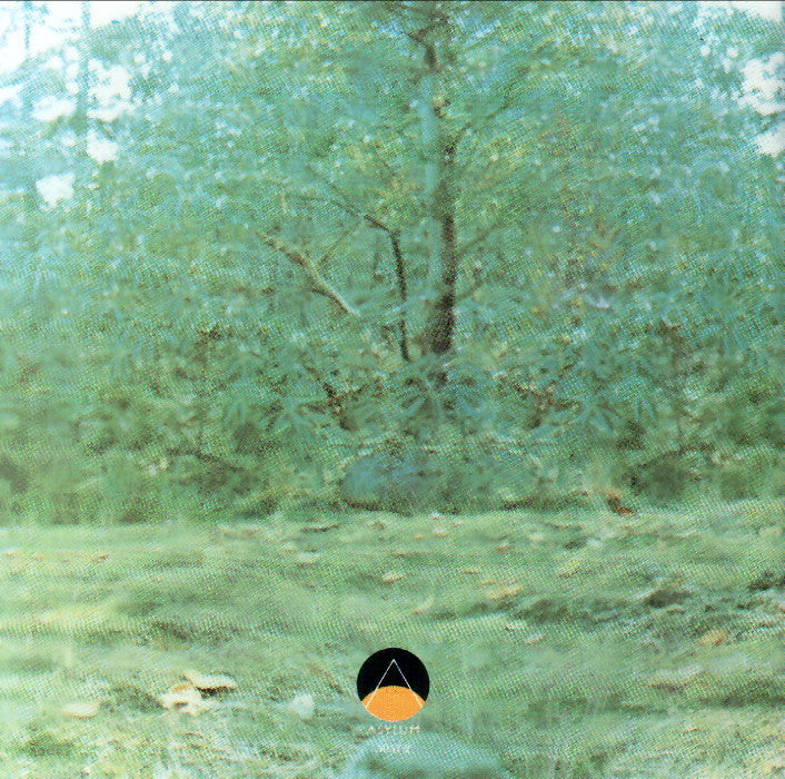 Gatefold 4: Joni Mitchell – For The Roses Vinyl LP | Relix