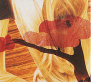 Gatefold 4: National – Cherry Tree (2021 Remaster CD) CD | Relix