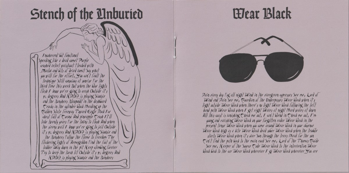 Gatefold 4: The Mountain Goats – Goths CD | Relix
