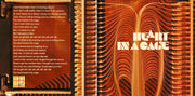 Gatefold 4: The Strokes – First Impressions of Earth CD | Relix