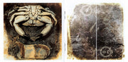 Gatefold 5: Pixies – Doolittle CD | Relix