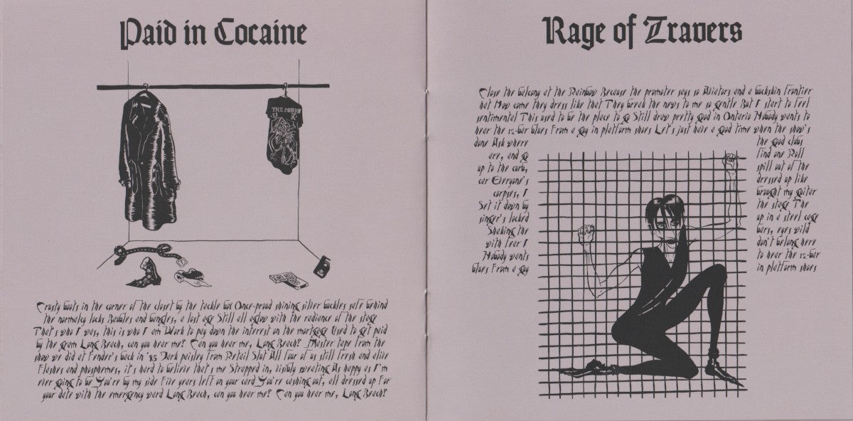 Gatefold 5: The Mountain Goats – Goths CD | Relix