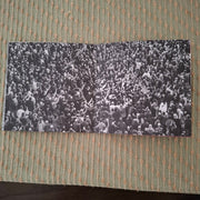 Gatefold 5: The National – Rome CD | Relix