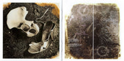 Gatefold 6: Pixies – Doolittle CD | Relix
