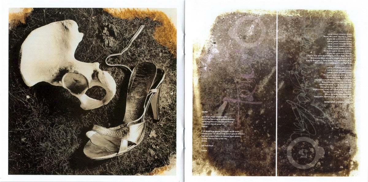 Gatefold 6: Pixies – Doolittle CD | Relix