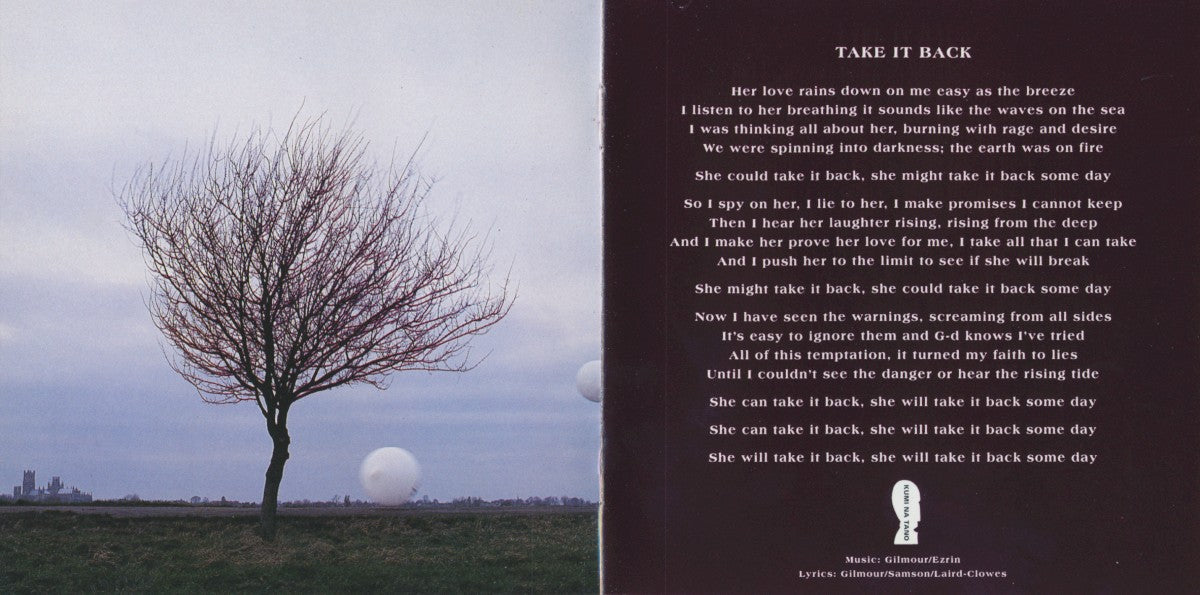Gatefold 7: Pink Floyd – The Division Bell Vinyl LP | Relix