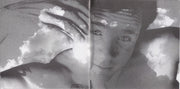 Gatefold 7: Red Hot Chili Peppers – Californication Vinyl LP | Relix
