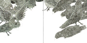 Gatefold 8: Wilco – Sky Blue Sky CD | Relix