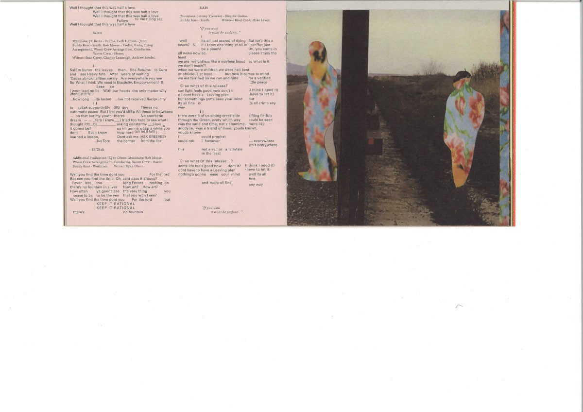 Gatefold 9: Bon Iver – I,I CD | Relix