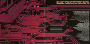 Gatefold 9: The Strokes – First Impressions of Earth CD | Relix