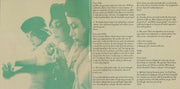 Gatefold: Belle And Sebastian – Life Pursuit Vinyl LP | Relix