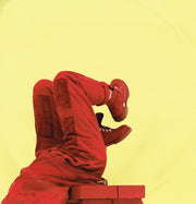 Gatefold: Billie Eilish – Dont Smile At Me (LP Vinyl) Vinyl LP | Relix