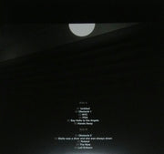 Gatefold: Interpol – Turn on the Bright Light Vinyl LP | Relix