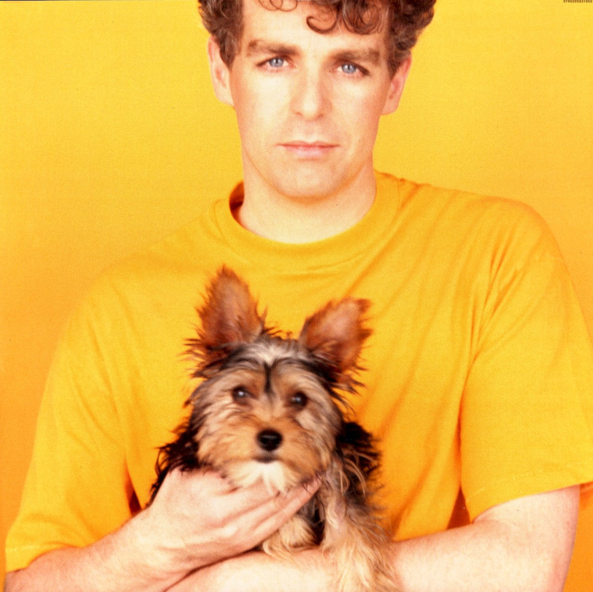 Gatefold: Pet Shop Boys – Introspective: 2018 Remastered Version Vinyl LP | Relix