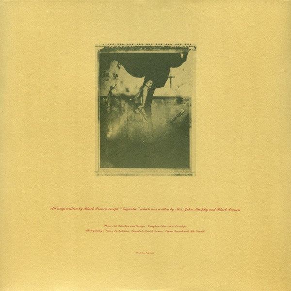 Gatefold: Pixies – Surfer Rosa Vinyl LP | Relix