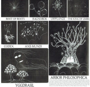 Gatefold: Radiohead – King Of Limbs Vinyl LP | Relix