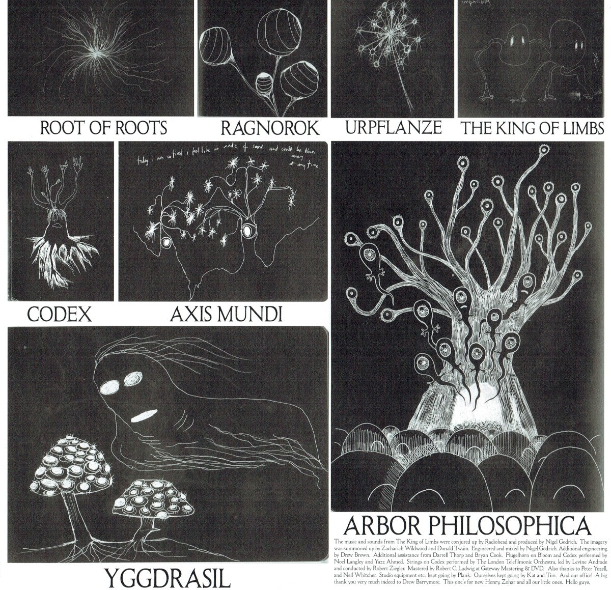 Gatefold: Radiohead – King Of Limbs Vinyl LP | Relix