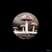 Gatefold: The Allman Brothers Band – Hittin the Note CD | Relix