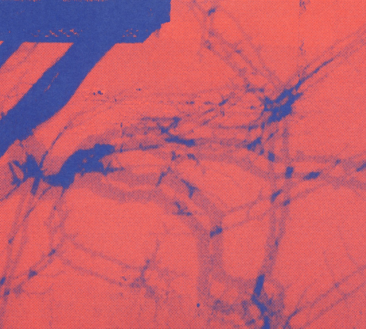 Gatefold: The National – Sleep Well Beast CD | Relix