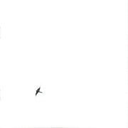 Gatefold: Wilco – Sky Blue Sky CD | Relix