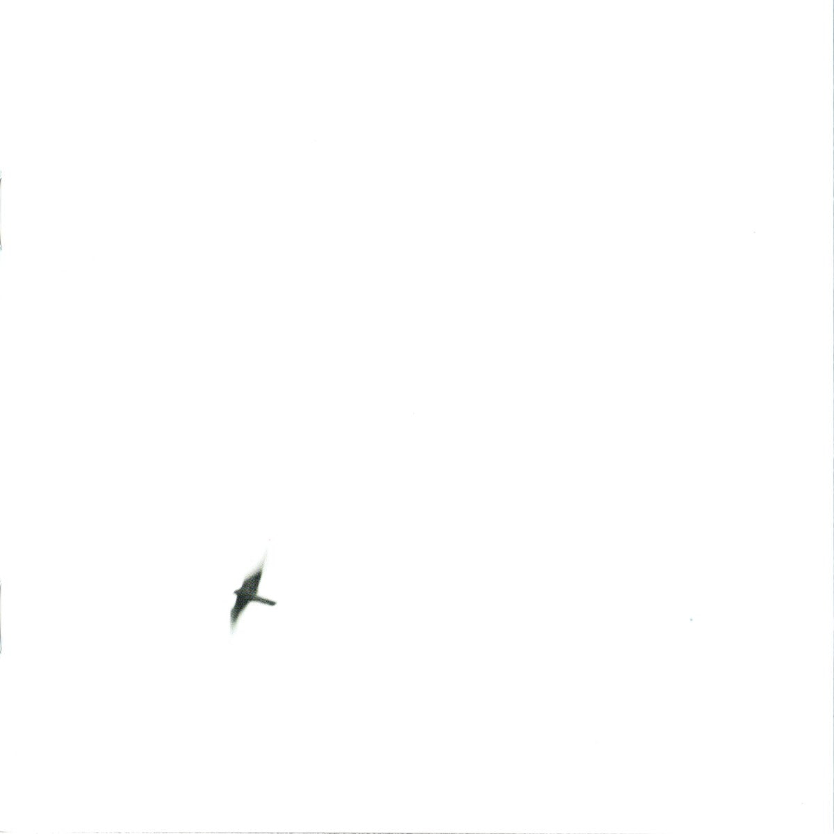 Gatefold: Wilco – Sky Blue Sky CD | Relix