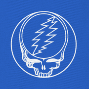 Close-up of the embroidered Stealie on a royal blue bucket hat