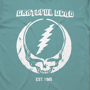 Close-up of the Est. 1965 Stealie print on a seafoam t-shirt