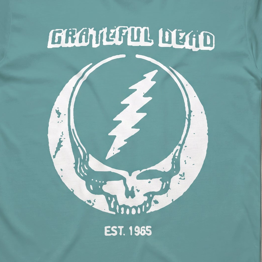 Close-up of the Est. 1965 Stealie print on a seafoam t-shirt
