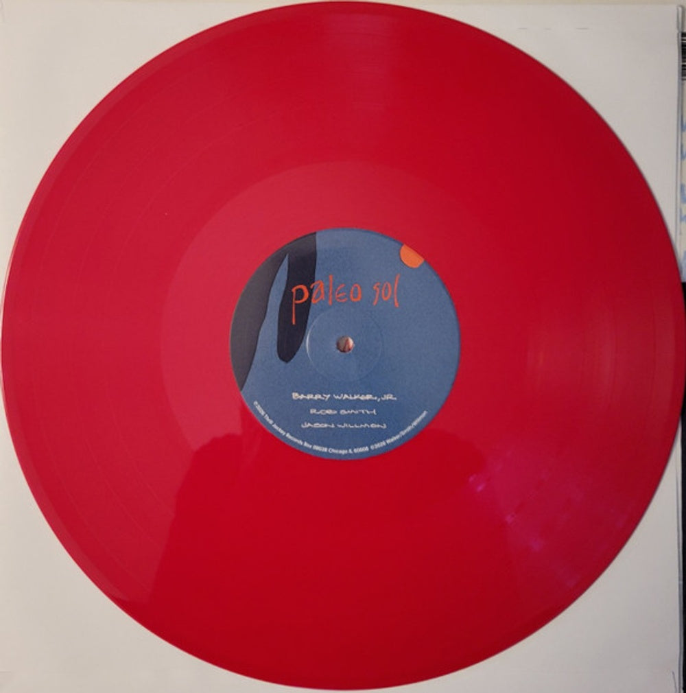 Image 2: Barry Walker  Jr – Paleo Sol (Download Included LP Vinyl) Vinyl LP | Relix