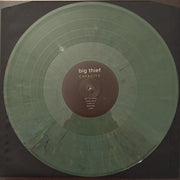 Image 2: Big Thief – Capacity Vinyl LP | Relix