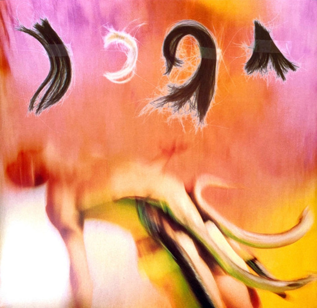 Image 2: Breeders – Pod Vinyl LP | Relix