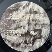 Image 2: Chavez – Gone Glimmering Vinyl LP | Relix