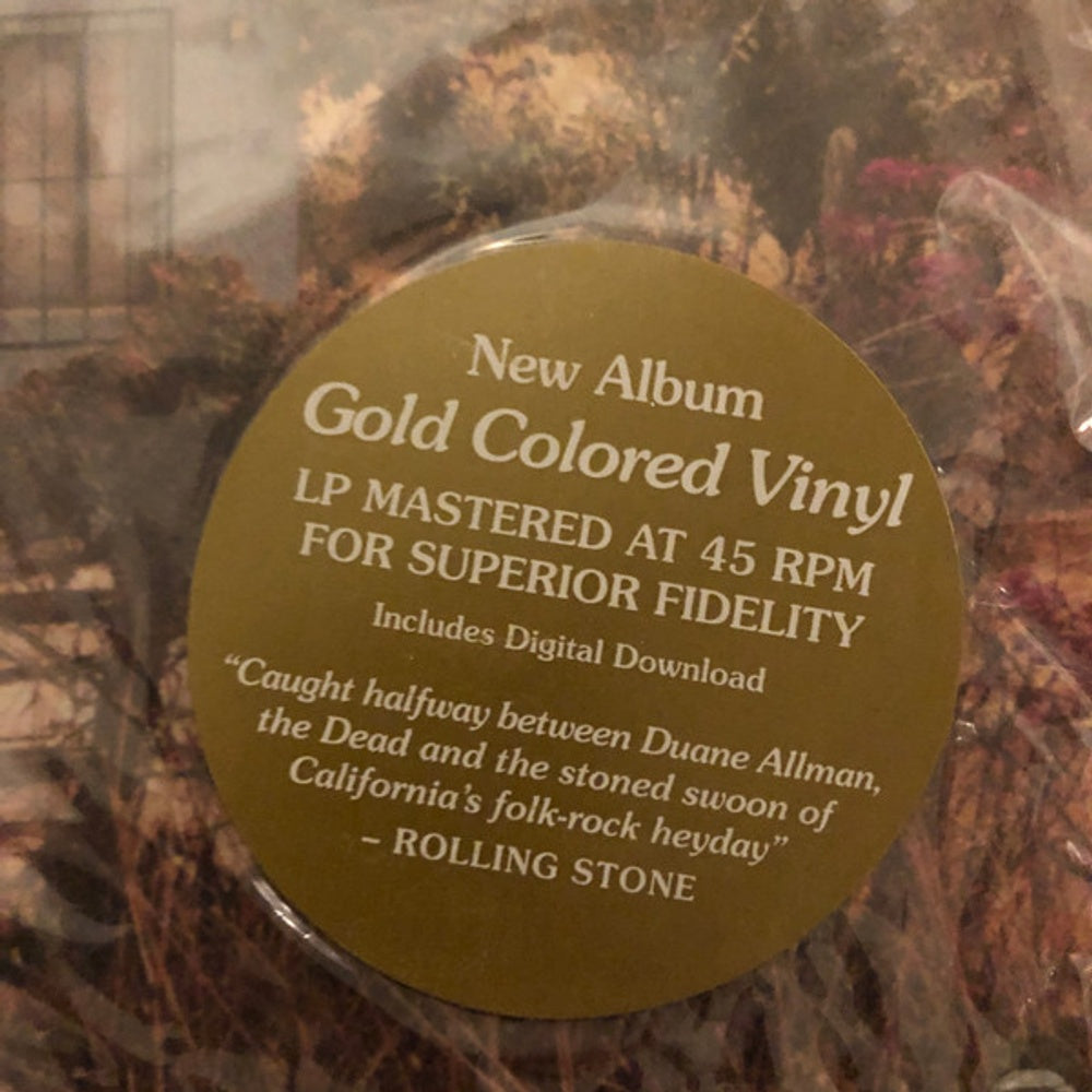 Image 2: Cordovas – Destiny Hotel (Brown LP Vinyl) Vinyl LP | Relix