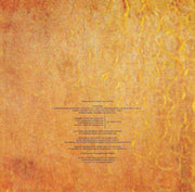 Image 2: Dead Can Dance – Aion Vinyl LP | Relix