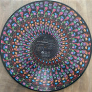 Image 2: Disclosure – Caracal - 10th Anniversary Edition (Zoetrope LP Vinyl) Vinyl LP | Relix