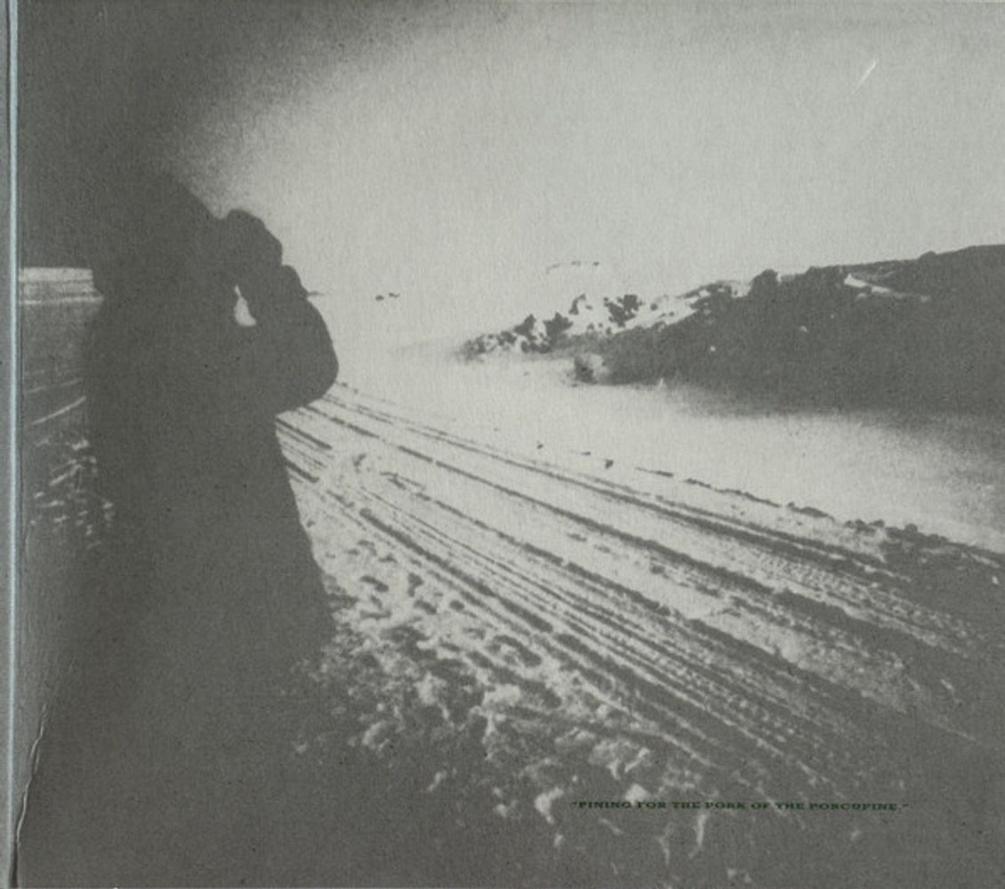 Image 2: Echo & The Bunnymen – Porcupine (Spa CD) CD | Relix