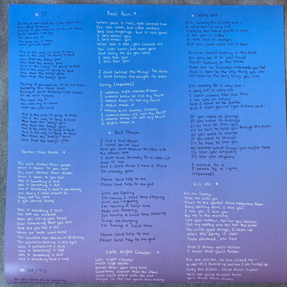 Image 2: Indigo de Souza – Any Shape You Take (Shopping Cart Yellow LP Vinyl) Vinyl LP | Relix