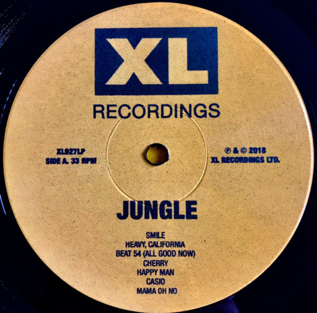 Image 2: Jungle – For Ever Vinyl LP | Relix