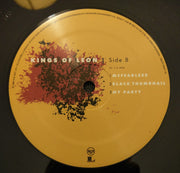 Image 2: Kings Of Leon – Because Of The Times (Reissue, Remastered, 180 Gram LP Vinyl) Vinyl LP | Relix