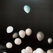 Image 2: LCD Soundsystem – The Long Goodbye (LCD Soundsystem Live At Madison Square Garden LP Vinyl) Vinyl LP | Relix
