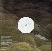 Image 2: Maria Somerville – Luster (Clear LP Vinyl) Vinyl LP | Relix