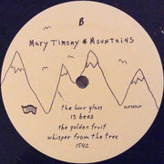 Image 2: Mary Timony – Mountains Vinyl LP | Relix