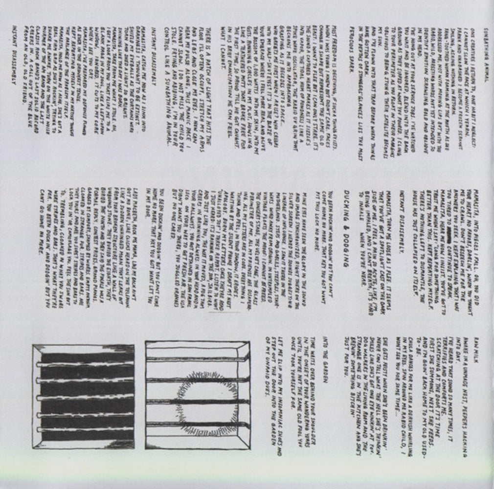 Image 2: Parquet Courts – Sunbathing Animal (Import CD) CD | Relix